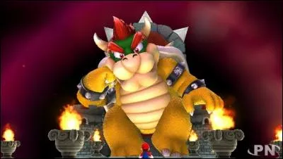Le nom original de Bowser est King Koopa