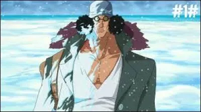 Quel équipage Kuzan rejoint-il après avoir perdu contre Akainu ?