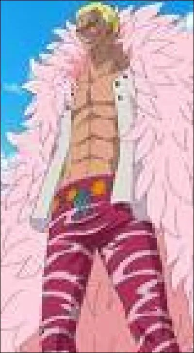 Quel personnage Doflamingo affronte-t-il à Punk Hazard ?