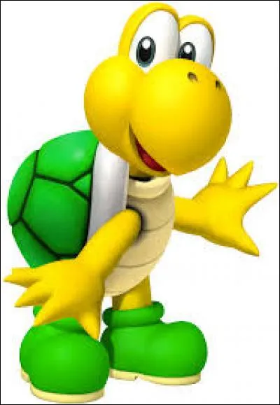 Quelle est la différence entre les Koopa et les Paratroopa ?