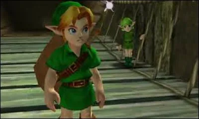 Que donne Saria à Link à sa sortie du village Kokiri ?