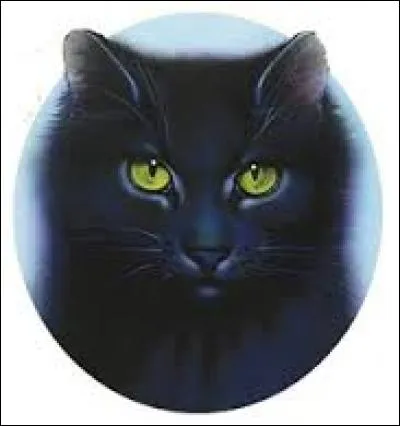 Une collection de livres connue sur les chats a pour titre :