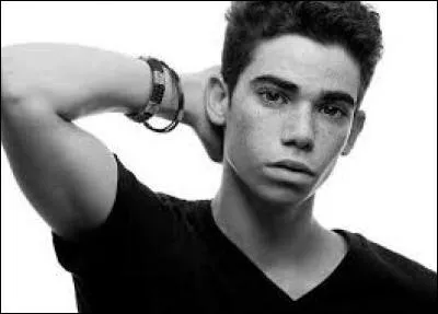 Dans la série, l'acteur nommé Cameron Boyce joue...