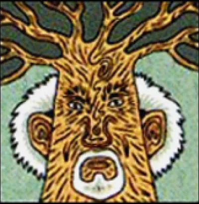 Quelle est cette carte ?