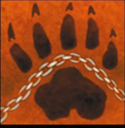 Quelle est cette carte ?