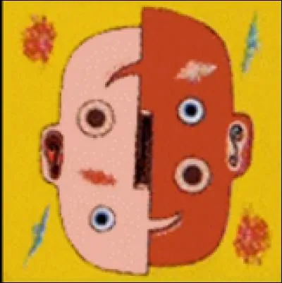 Quelle est cette carte ?