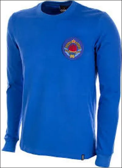 Quel pays fut le malheureux finaliste ?