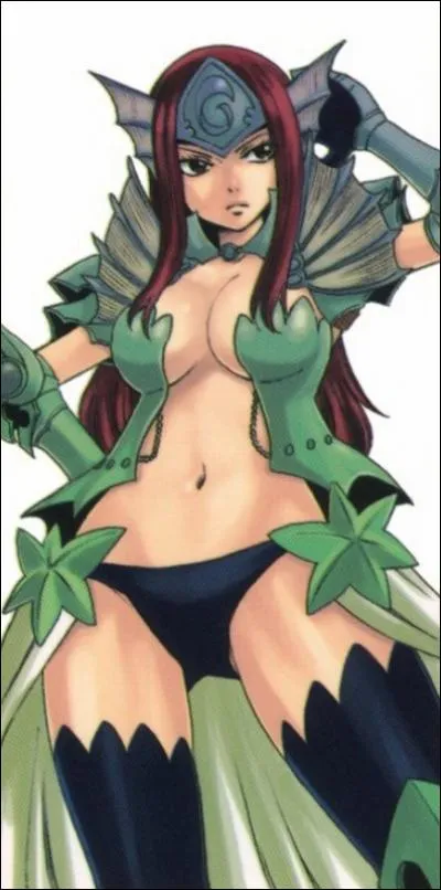 Quelle est cette armure ?