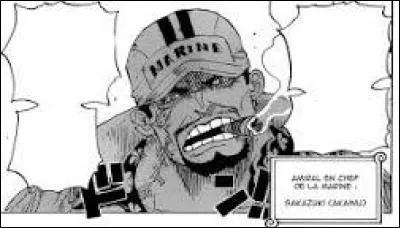 Qui a fait la cicatrice d'Akainu ?