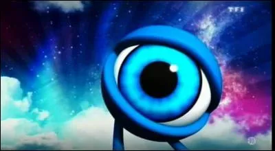 Toujours des passages de celui-là. On ne peut jamais le zapper ! Comment l'appelle-t-on ?