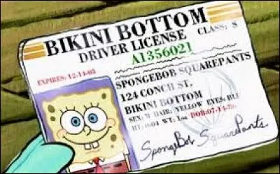 Combien de fois Bob a tenté d'avoir son permis ?