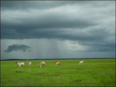 Quel pays a comme surnom : le Plat Pays ?