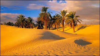 Le plus grand désert chaud du monde est le désert du Sahara en Afrique du Nord.