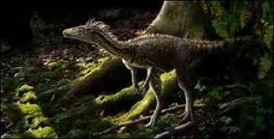 Le plus ancien des dinosaures est le :