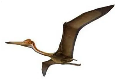 Le quetzalcoaltus avait une envergure de :