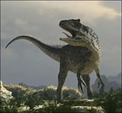 L' allosaurus vivait pendant le :
