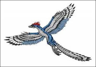 L' archéoptéryx était :
