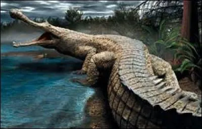 Le sarcosuchus , un crocodile géant , se nourrissait de :