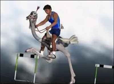 "D" comme "décathlon". Comme l'indique son nom, cette discipline sportive regroupe dix épreuves combinées. Laquelle n'en fait pas partie ?