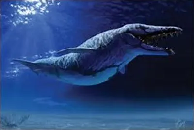 Quel est cet animal marin disparu ?