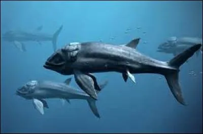 Quel est ce poisson disparu ?