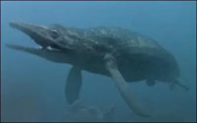 Quel est ce reptile marin ?