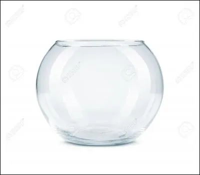 Quel poisson peut vivre dans un bocal ?