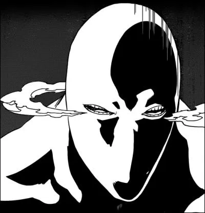 Comment s'appelle le Zanpakuto sans nom ?
