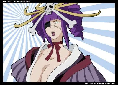 Quel est ce Zanpakuto ?