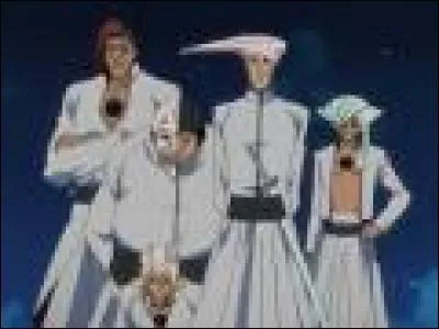 Comment appelle-t-on les &eacute;veils des Arrancars ?