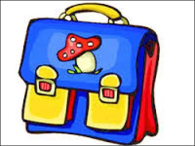 Pour ramasser mes cahier et tout le reste, je vais prendre un(e)...