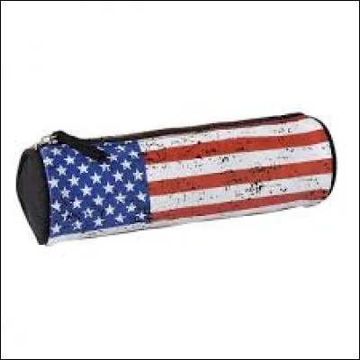 Pour ramasser, mes stylos, ma gomme, mon taille crayon, mes ciceaux, etc... Je vais mettre cela dans...