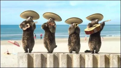 Utile pour faciliter la montée !