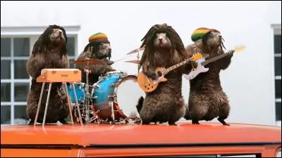 Celui qui ne suscite que le mépris, fripouille !