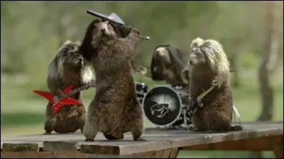 Chaland dont la drague récupère les vases !