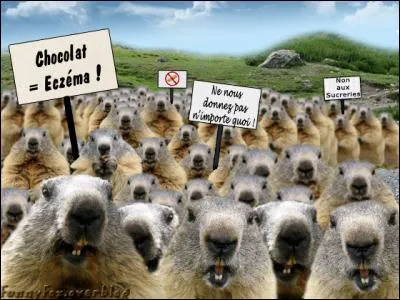 Ancien heurtoir de porte qui permit au Petit Chaperon Rouge de "tirer la chevillette et la bobinette cherra" !