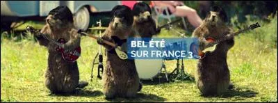 Témoignage de celle ou celui qui souffre pour sa cause ou sa foi !