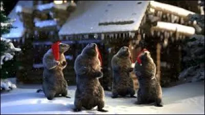 Religieux ou oiseau !