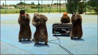 Branchette d'arbre ou rejet de plante que l'on plante en terre afin qu'elle ou il prenne racine !