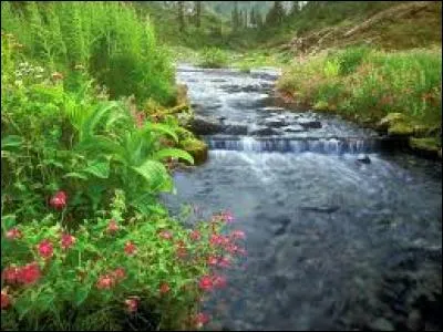 Avec quel chanteur Garou a-t-il enregistré en duo "La Rivière de notre enfance" ?