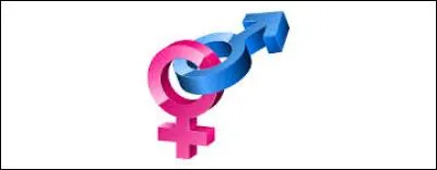 Quel mot n'est pas féminin ?