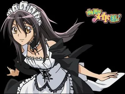 Dans Kaichou wa maid-sama, quel est le rôle de Misaki Ayuzawa dans son lycée de base ?