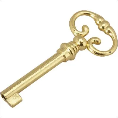 Neuvième pays : Afrique du Sud
Nous arrivons en Afrique du Sud. Nos parents nous attendent avec une jolie petite fête. Ils nous donnent alors une clé. Mais quel âge avons-nous ? ... ans