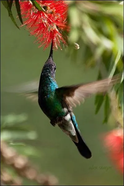 Familièrement, femme bavarde, commère :