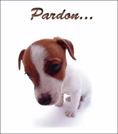 Pardon = ?