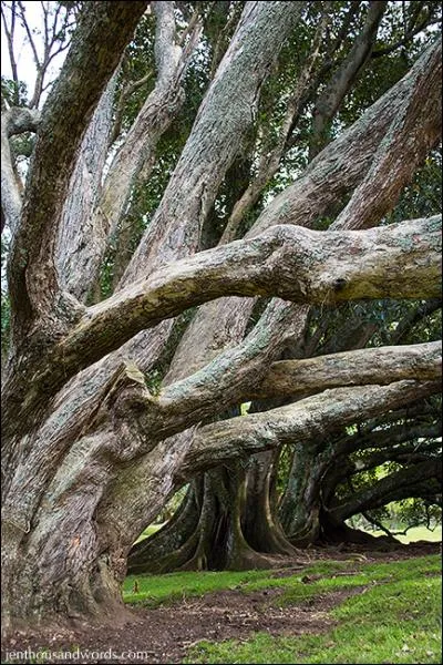 Si vous ajoutez une seule lettre à ce mot, mais la bonne et au bon endroit, vous passerez de dessous à dessus pour... ?