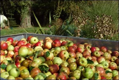 Remplacez une seule lettre par une autre à ce mot, la bonne et au bon endroit, et vous passerez de ce mot à nouveau à ce mot, en... ?
