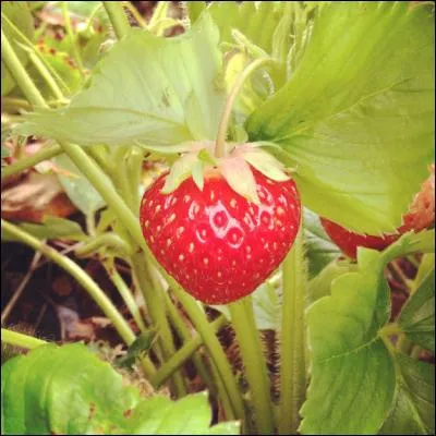 Si vous retirez une lettre à ce mot, une seule mais la bonne, vous pourrez alors... ?