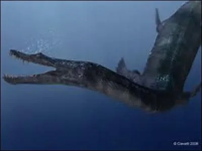 Quel est ce reptile marin ?