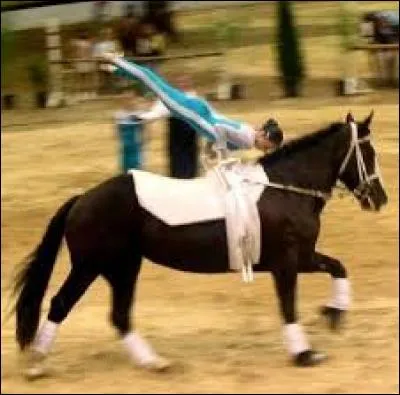 Quelle est cette discipline ?